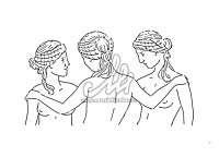 /album/perokresba/tri-gracie-jpg/