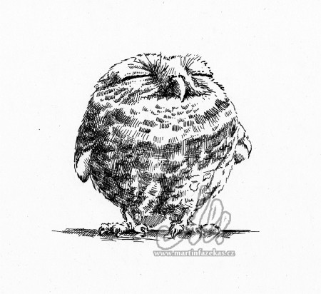 Opalující se sova, perokresba A5