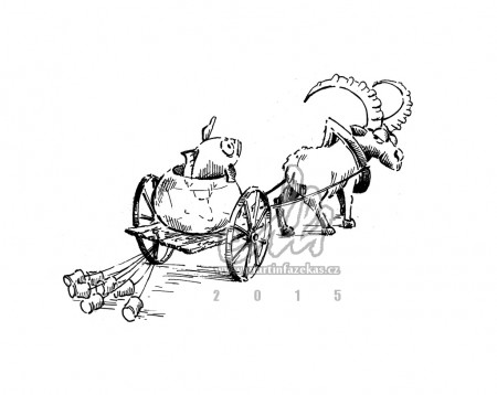 Ilustrace pro svatební oznámení, A5